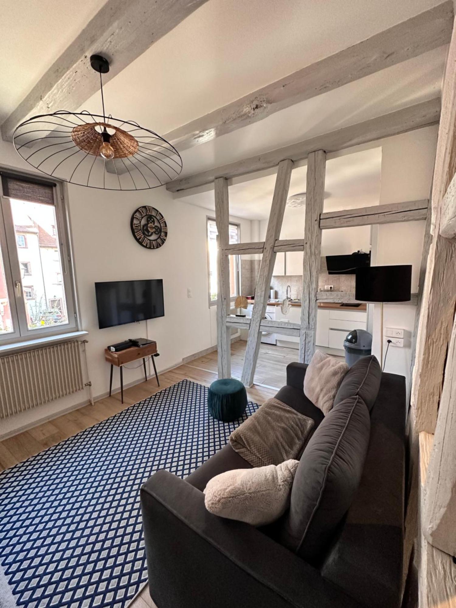 Le Wickram Villa Colmar Eksteriør billede